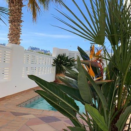 Villa Cinco Palmas アルメリマル エクステリア 写真