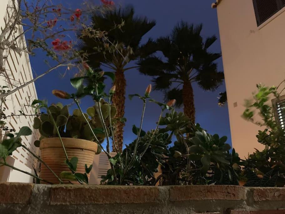 Villa Cinco Palmas アルメリマル エクステリア 写真